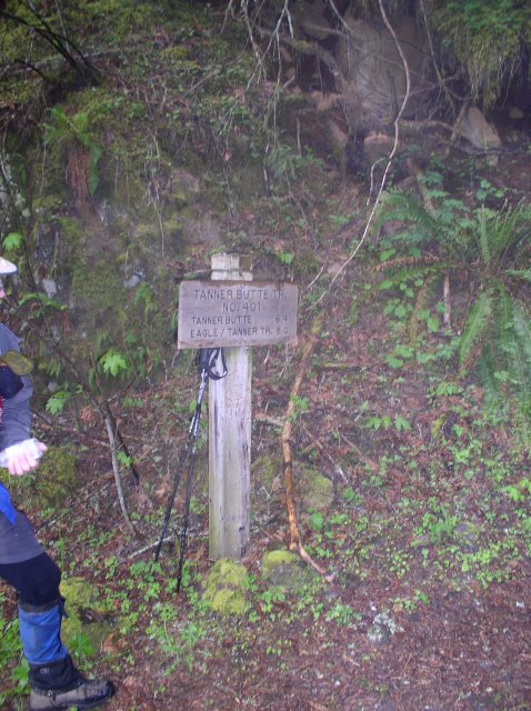 5.7.06 Wauna Point 002 